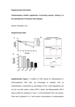 Supplementary Information (doc 132K)