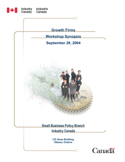 Growth Firms Workshop Synopsis