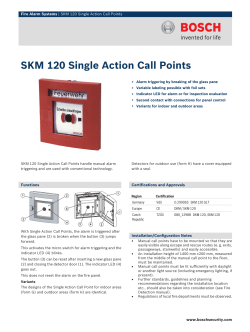 SKM 120 Single Action Call Points
