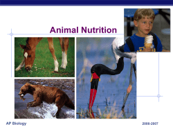 NAD, FAD, etc. AP Biology How do animals get their food?