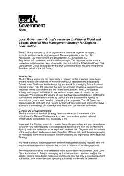 Background paper - LG Group response to National Strategy for