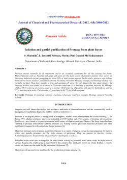 Isolation and partial purification of Protease from plant leaves