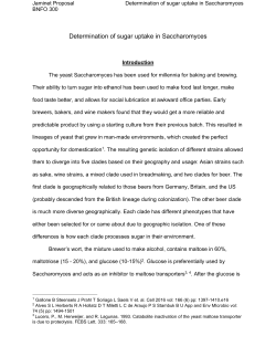 Jaminet Proposal Determination of sugar uptake in
