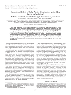 Bactericidal Effect of Solar Water Disinfection under Real Sunlight