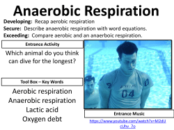 Anaerobic respiration File