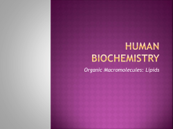 Human Biochemistry Organic Macromolecules: Lipids Organic