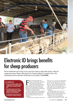 Electronic ID brings benefits for sheep producers