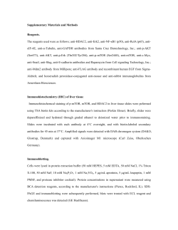 Supplementary Materials and Methods Reagents. The reagents
