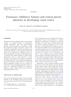Excitatory&ndash;inhibitory balance and critical period