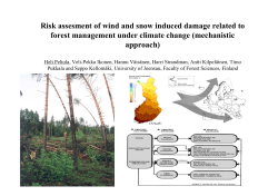 Risk assesment of wind and snow induced damage related to forest