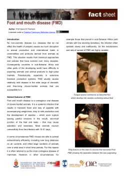 FMD - AfriVIP