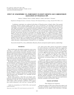 effect of atmospheric co2 enrichment on root