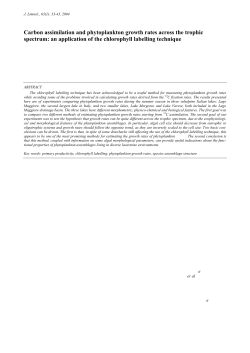 Carbon assimilation and phytoplankton growth rates across the