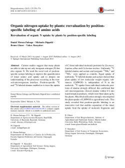 Organic nitrogen uptake by plants: reevaluation by position