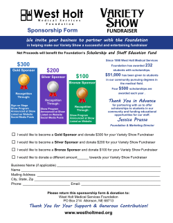 FUNDRAISER $300 $200 $100 Sponsorship Form