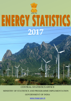 Energy Statistics 2017 - Ministry of Statistics and Programme