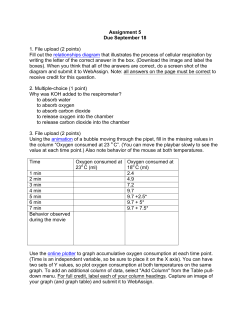Work sheet as a pdf file