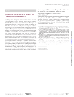 Phenotypic Discrepancies in Acetyl-CoA Carboxylase 2