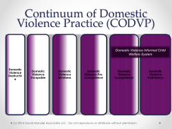 Domestic Violence Informed Child Welfare System