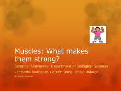 Muscles in a Dish - Campbell University