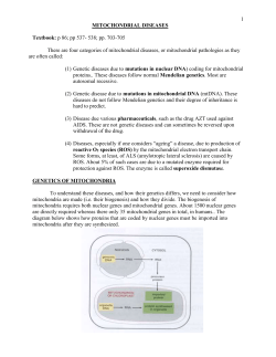mitochondrial diseases