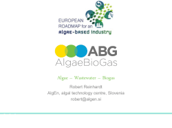 Algae &ndash; Wastewater &ndash; Biogas - European Roadmap for an Algae