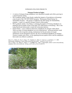 NITROGEN-FIXATION PROJECTS Nitrogen Fixation in Poplar A