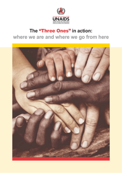 The “Three Ones” in action : where we are and where we go from here