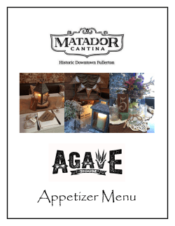 Appetizer Menu - Matador Cantina