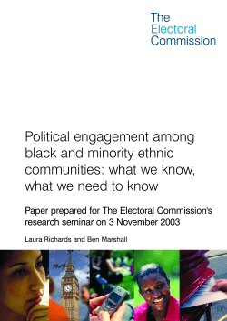 Seminar paper - Electoral Commission