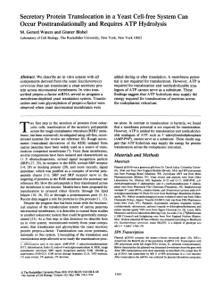 Secretory Protein Translocation in a Yeast Cell-free