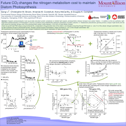 Future CO2 changes the nitrogen metabolism cost to