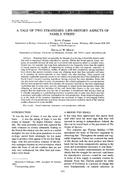 A tale of two Strategies: Life-History Aspects of family Strife