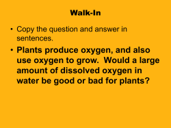 Testing Water Quality
