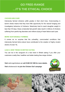 GO FREE-RANGE &hellip;IT`S THE ETHICAL CHOICE