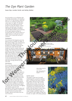 The Dye Plant Garden - The Journal for Weavers, Spinners and Dyers