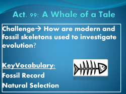 Act. 99: A Whale of a Tale