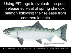 Columbia River Tangle Net Studies