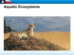 Freshwater Ecosystems