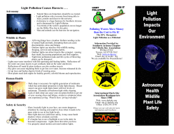 Light Pollution Causes Harm to