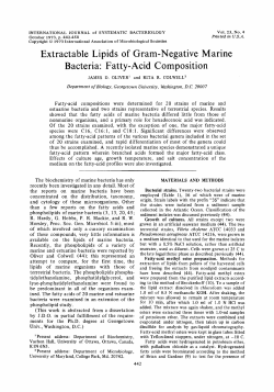 Extractable Lipids of Gram-Negative Marine Bacteria: Fatty