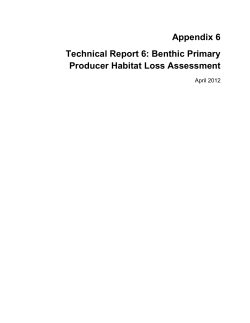 Benthic Primary Producer Habitat Loss Assessment
