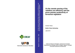 On the remote sensing of the radiation use efficiency and the gross