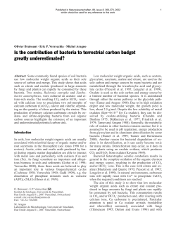 Is the contribution of bacteria to terrestrial carbon