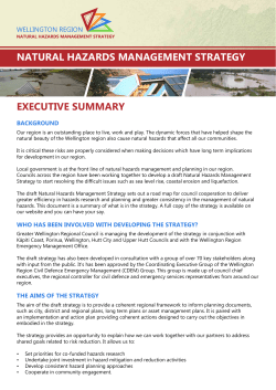 natural hazards management strategy executive summary