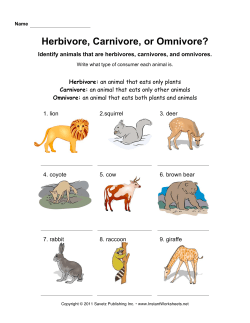 Herbivore, Carnivore, or Omnivore?