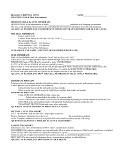 chapter 8 powerpoint outline