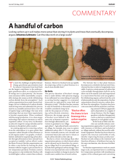 A handful of carbon