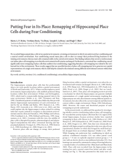 Putting Fear in Its Place: Remapping of Hippocampal Place Cells