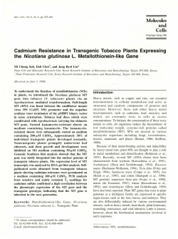 Cells Cadmium Resistance in Transgenic Tobacco Plants